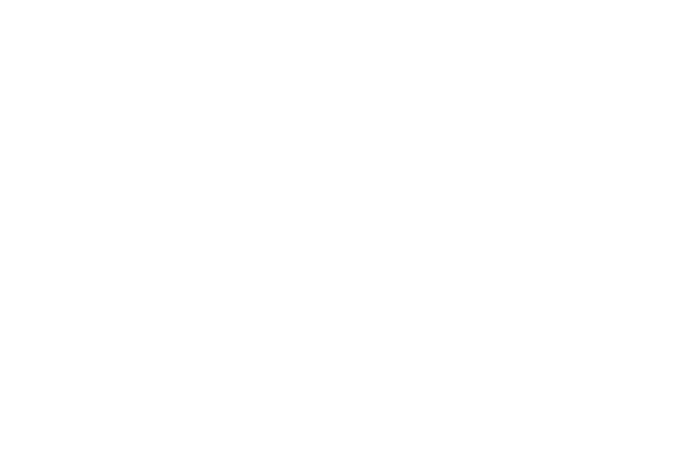 wing-layer-white